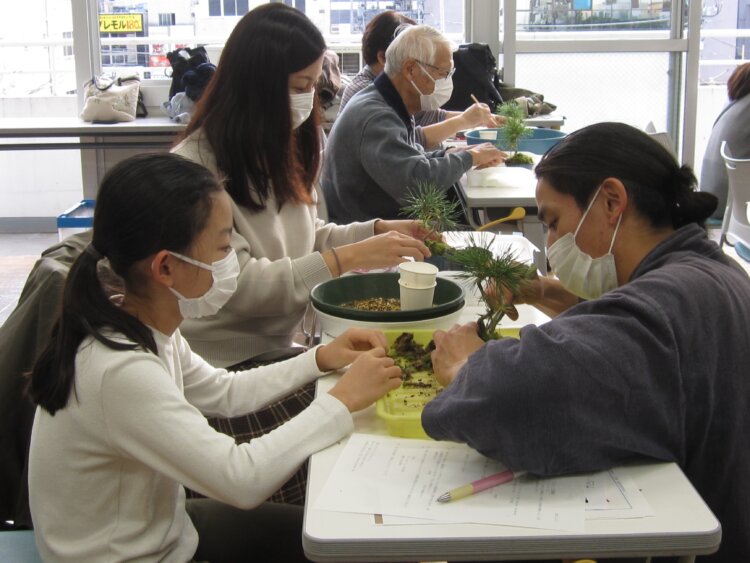“Bonsai” – A Traditional Japanese Culture　- Demonstration & Hands-on Exercise –